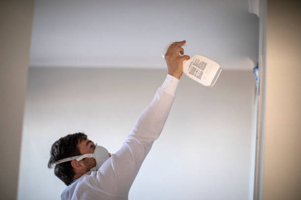 Best Kitchen Mold Remediation in Landing, NJ